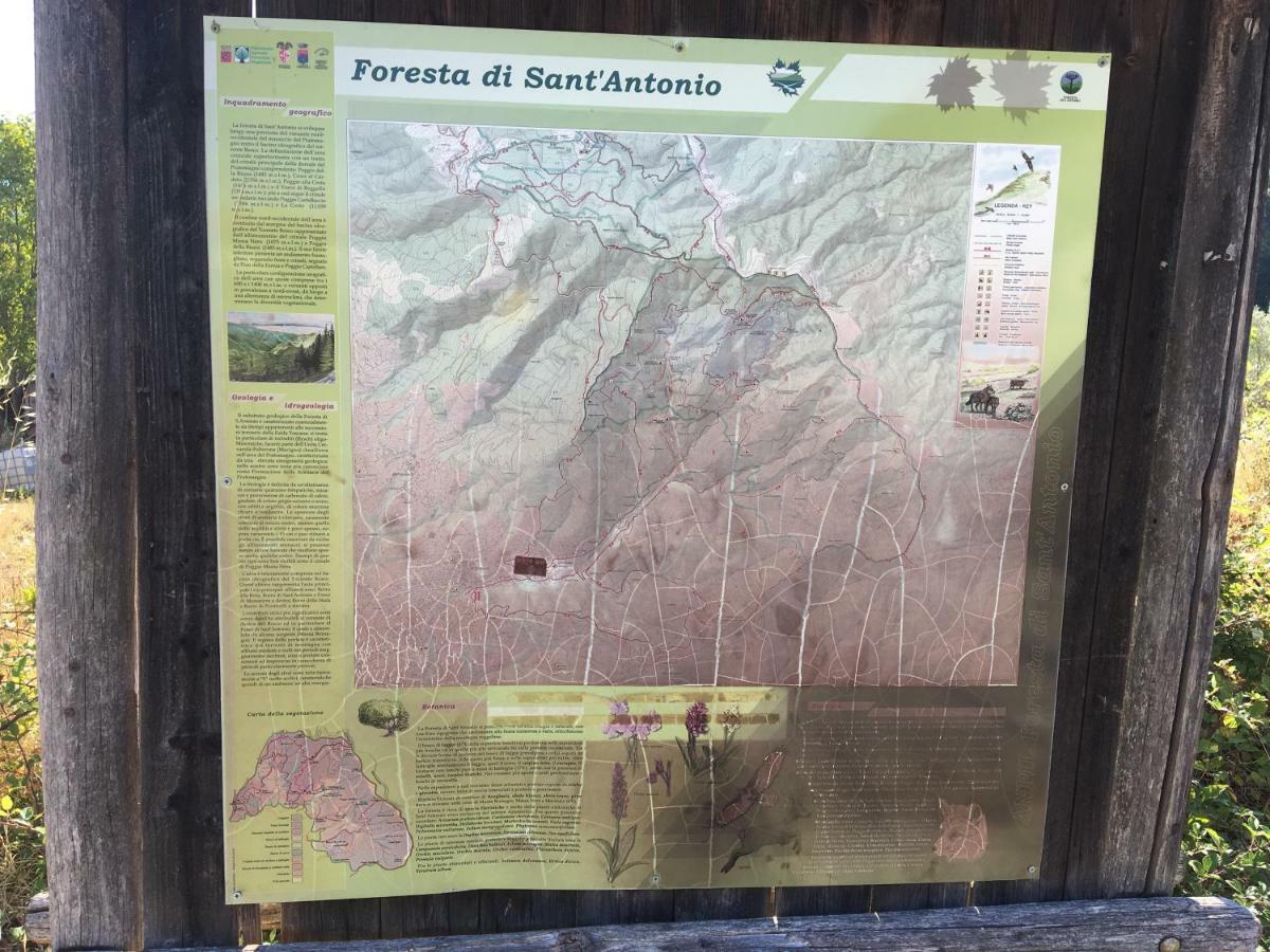Appartamento Casa Tucci Reggello Esterno foto